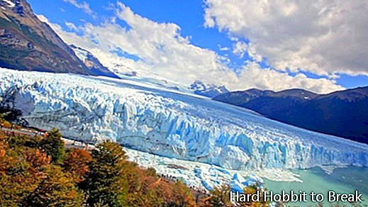 Perito Moreno ledājs