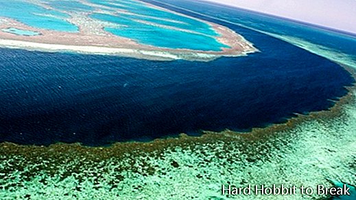 Grande-Barrera de Coral