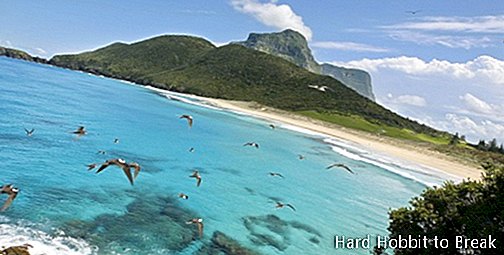 Lord Howe Island Ausztrália3