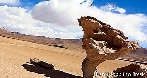 Desert Salvador Dali Boliwia