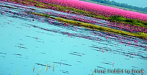 Jezero Nong Han