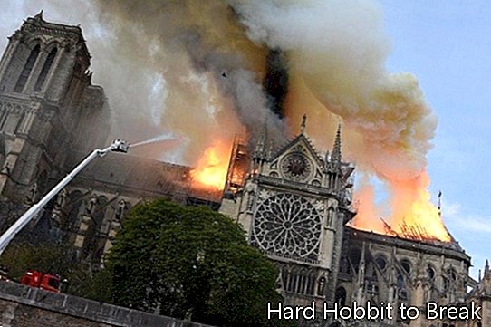 कैथेड्रल-de-Notre-Dame-आग