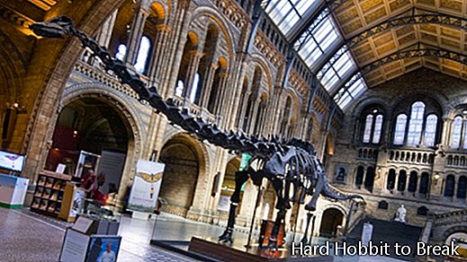 Museo de Historia Natural-