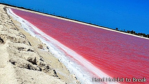 Ružová lagúna photo1
