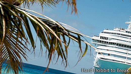 Karayip Cruise