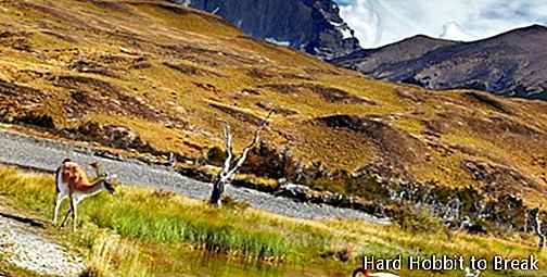 Torres del Paine2 nacionālais parks