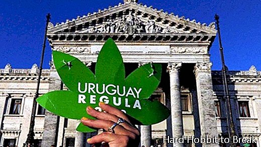Montevideo-marijuana