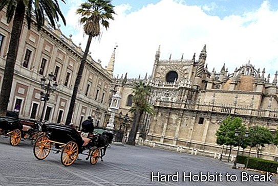 Sevilla-katedraali
