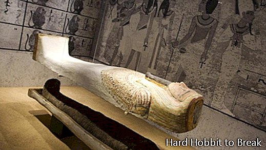 พิพิธภัณฑ์อียิปต์แห่งบาร์เซโลนา