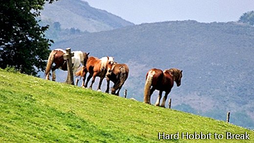 Valea Baztanului Navarra1