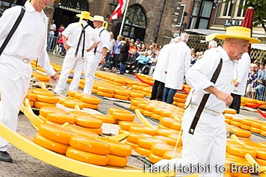 cheese-holland