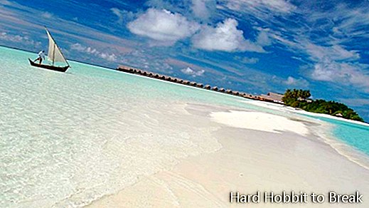 Maldivu salas