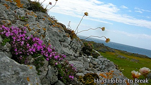 The Burren Ireland2