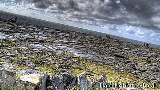 The Burren أيرلندا
