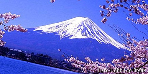 MOnte Fuji