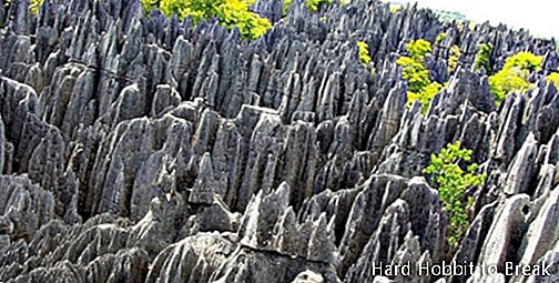 อุทยานแห่งชาติ Tsingy Madagascar1