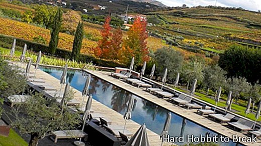 Šest osjetila-Douro-Dolina