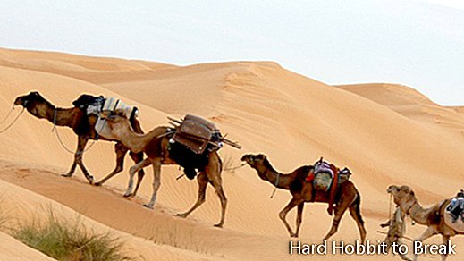 Tunisko-cestovní ruch
