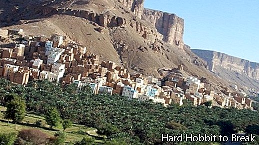 Socotra Yemen4